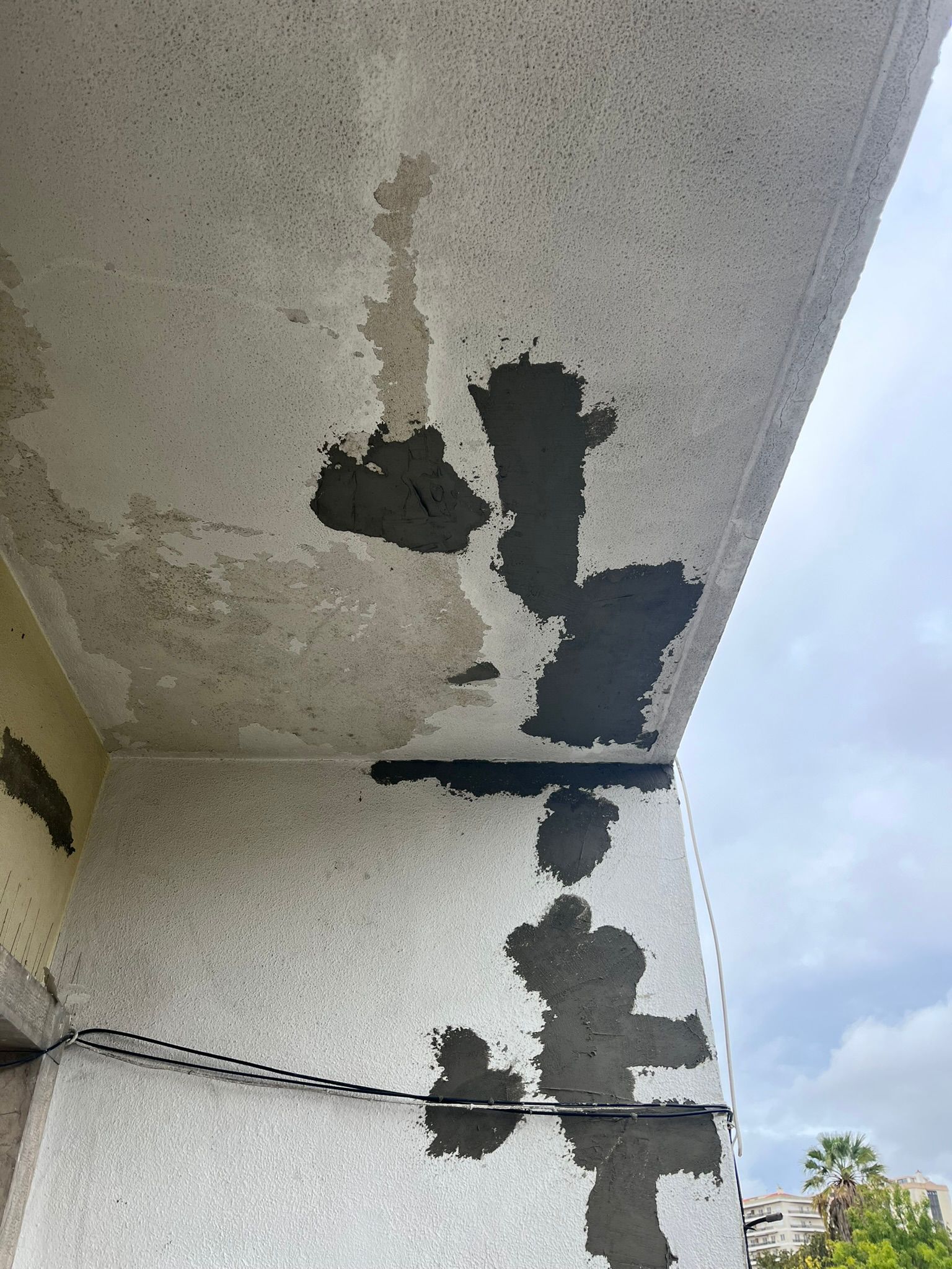 WhatsApp Image 2024-10-15 at 16.30.54 (1)