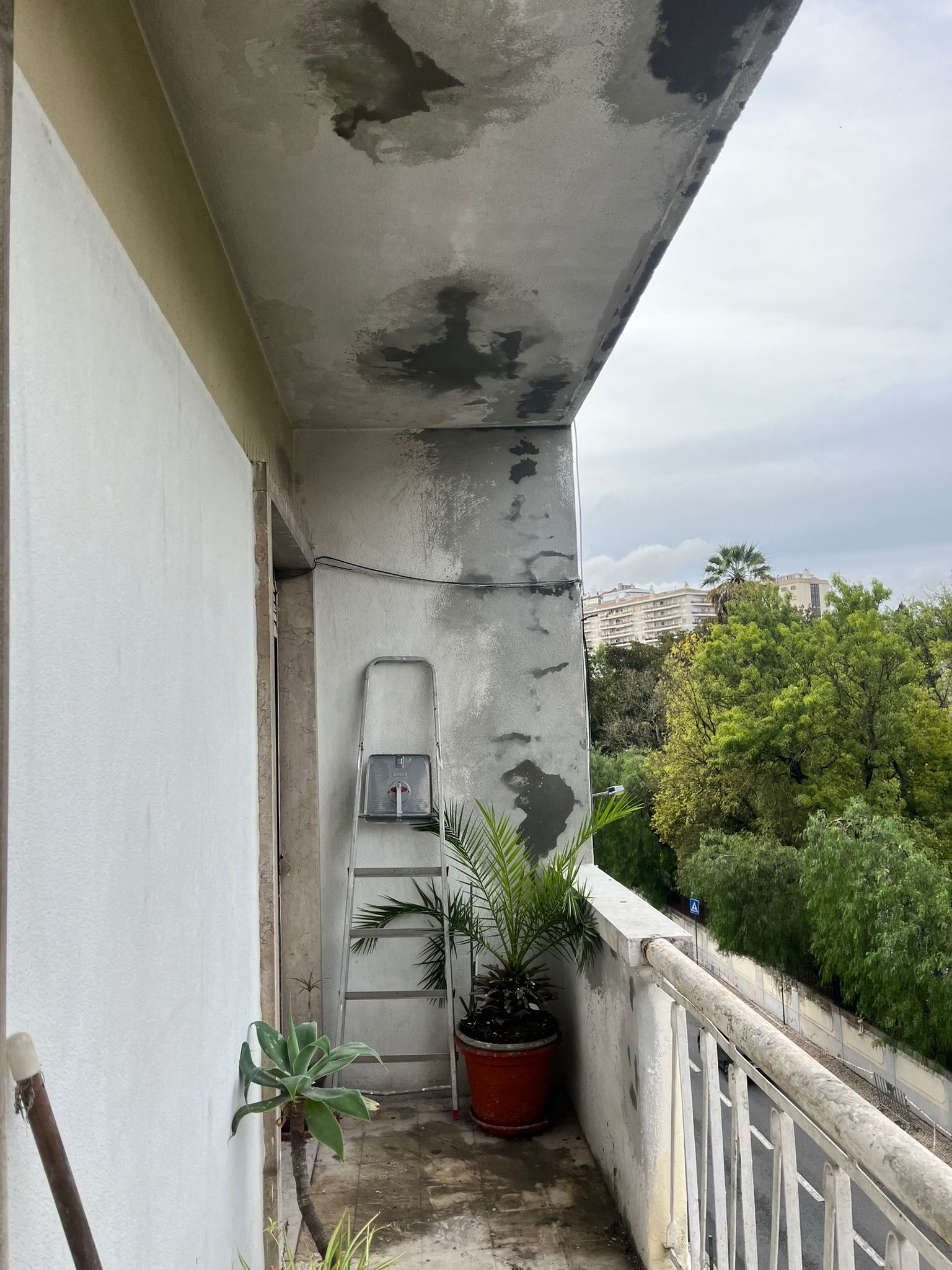 WhatsApp Image 2024-10-15 at 16.30.56