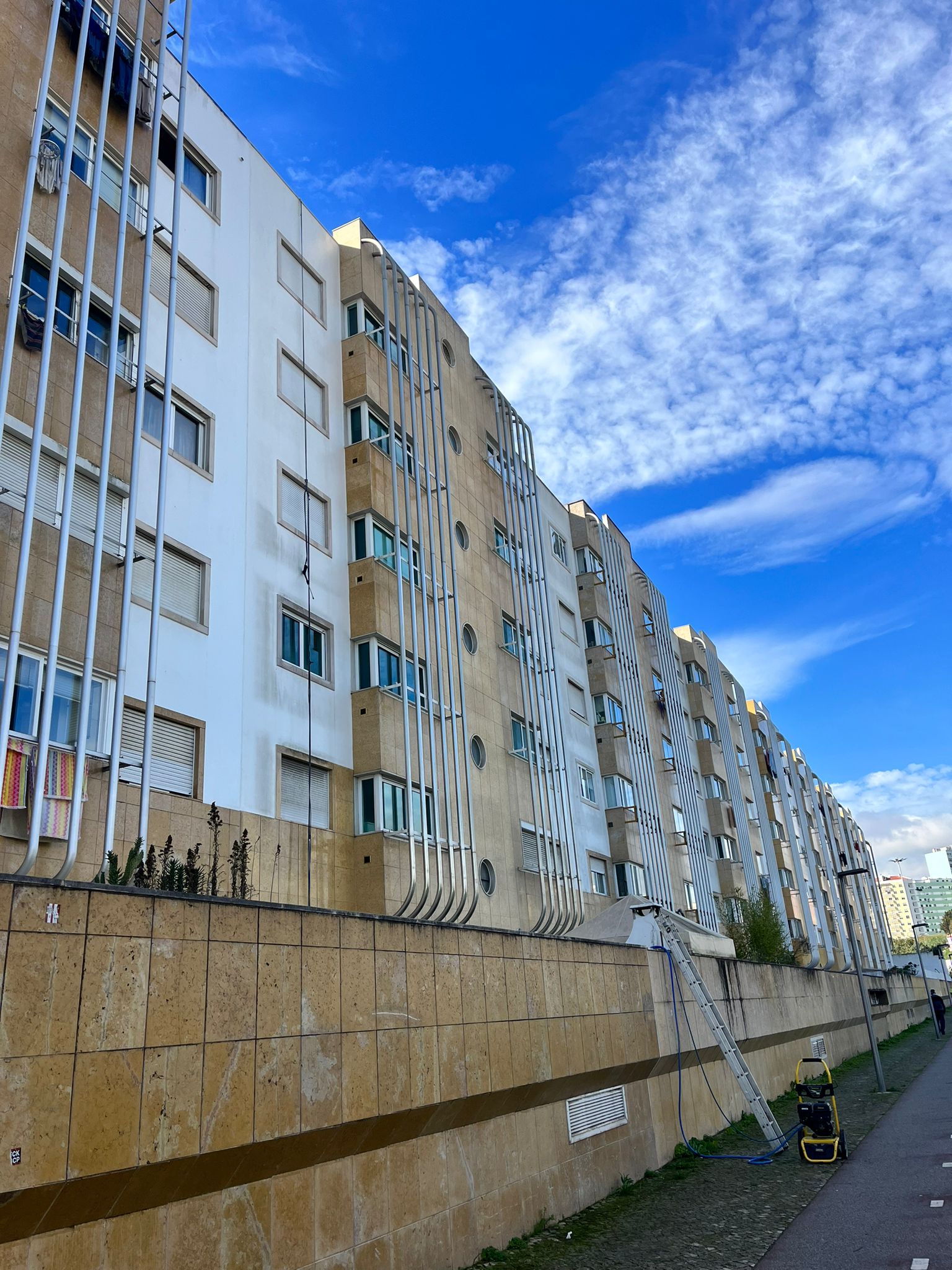 WhatsApp Image 2024-10-15 at 16.39.21