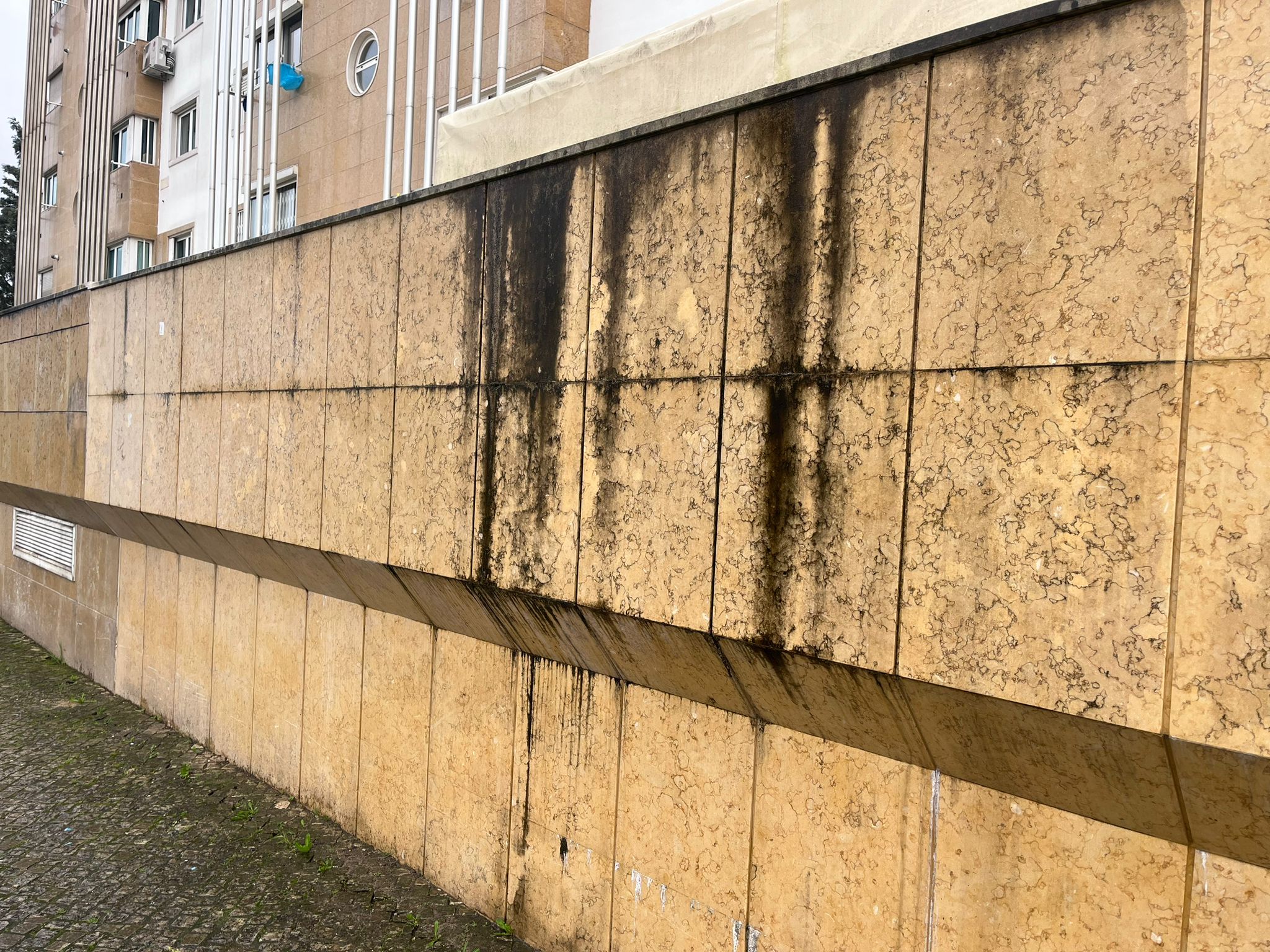 WhatsApp Image 2024-10-15 at 16.39.23 (3)