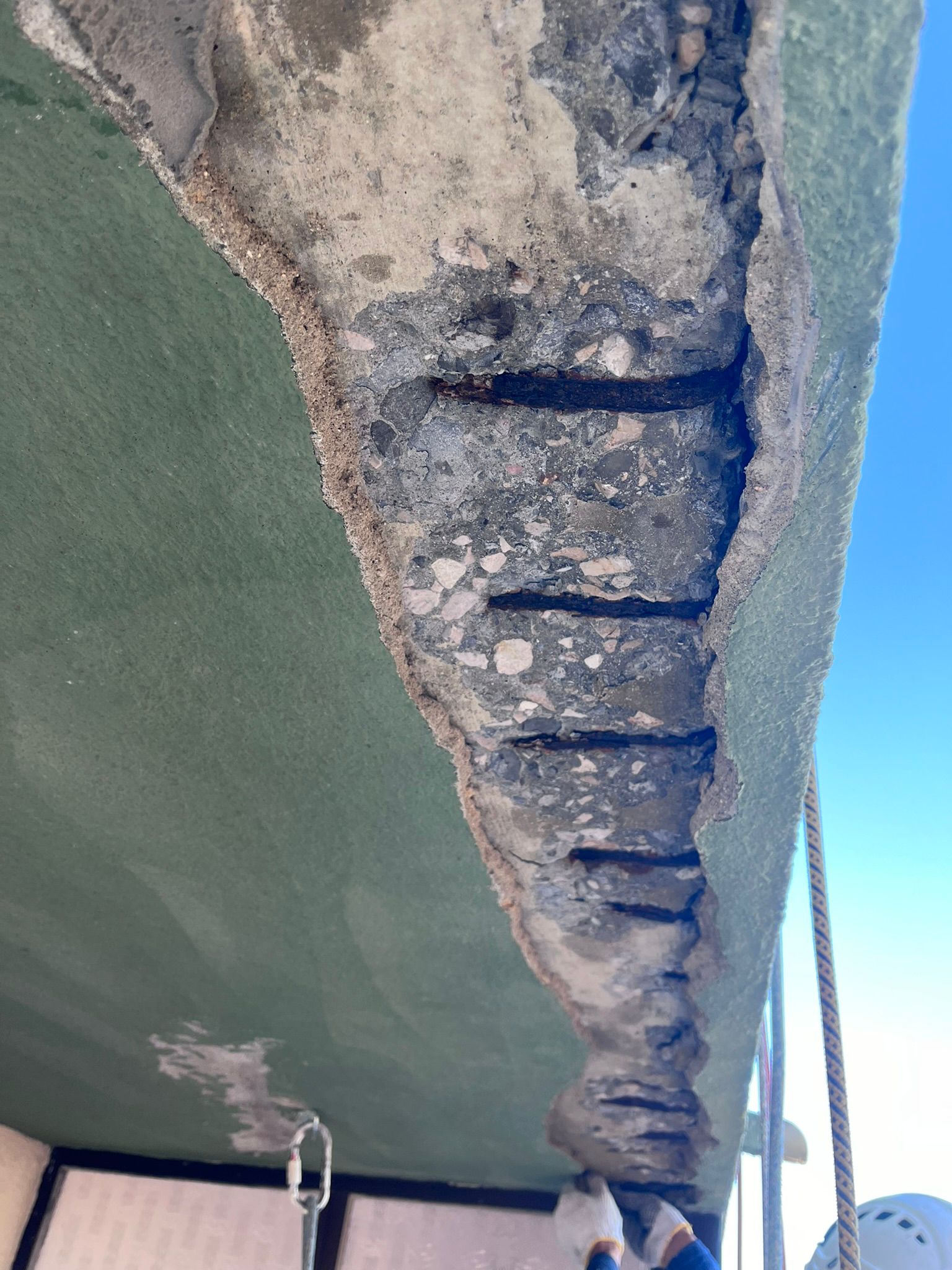 WhatsApp Image 2024-10-15 at 16.51.44