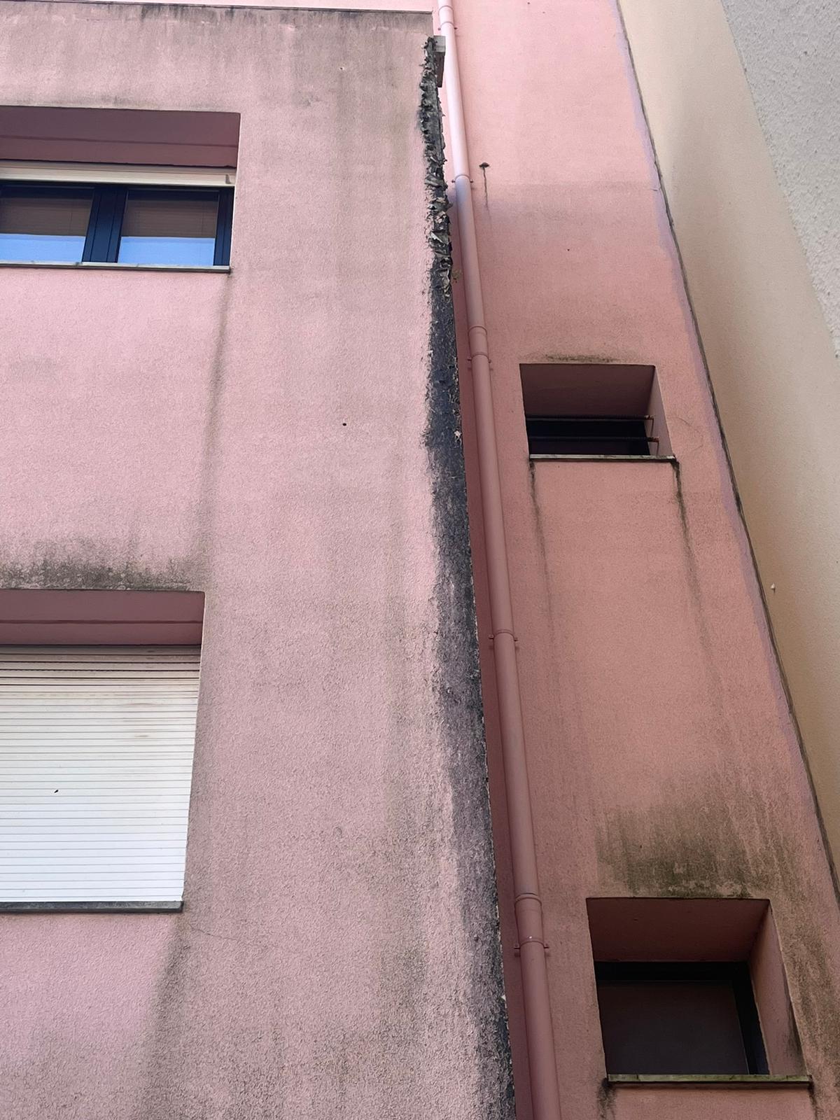 WhatsApp Image 2024-10-15 at 17.02.14