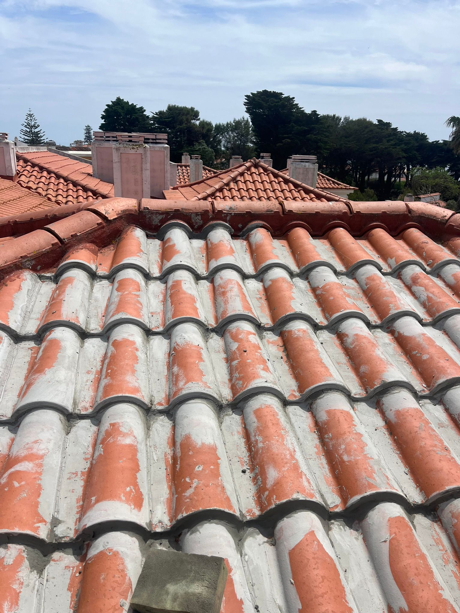 WhatsApp Image 2024-10-15 at 17.07.50 (1)