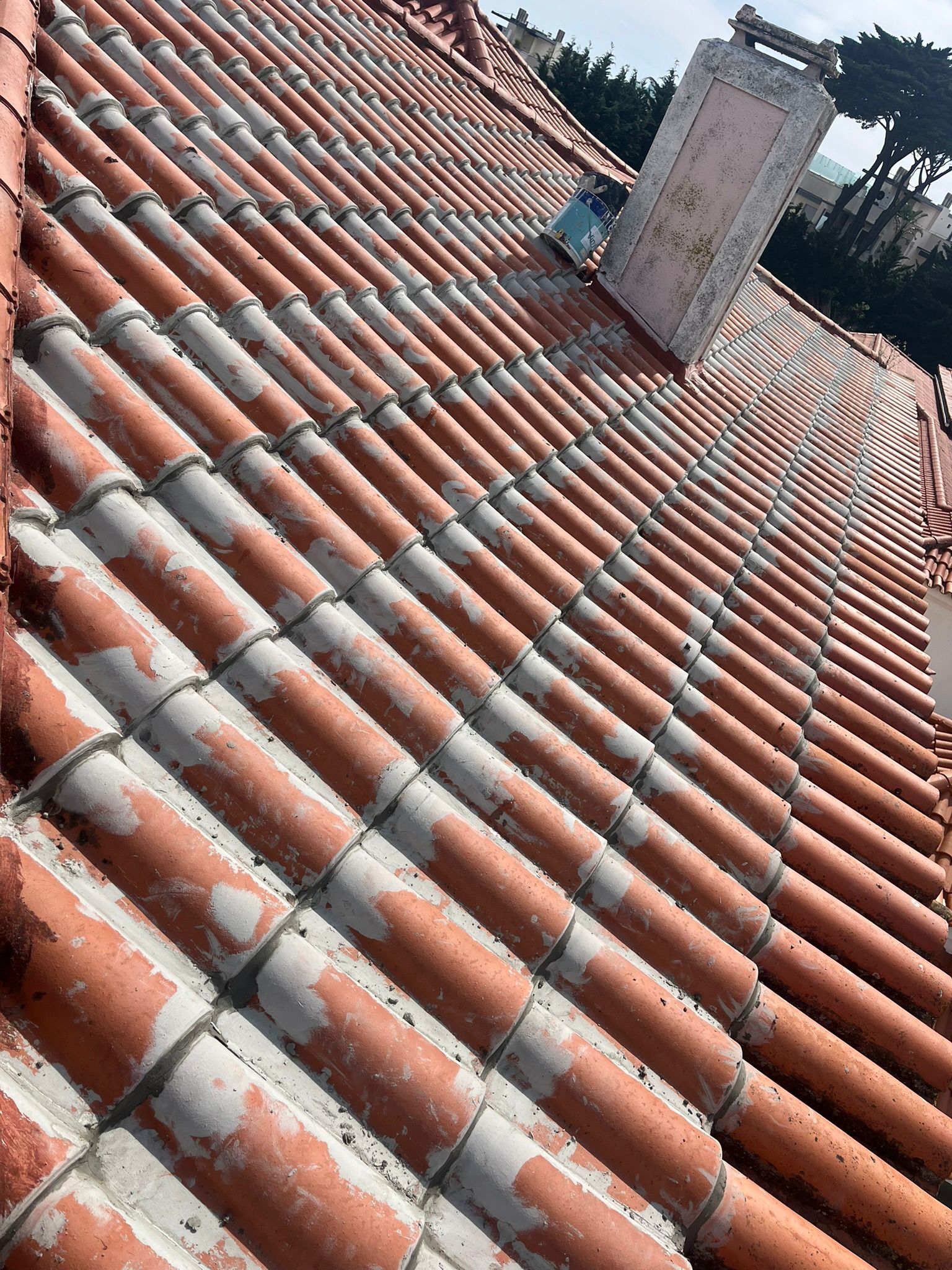 WhatsApp Image 2024-10-15 at 17.07.50 (2)