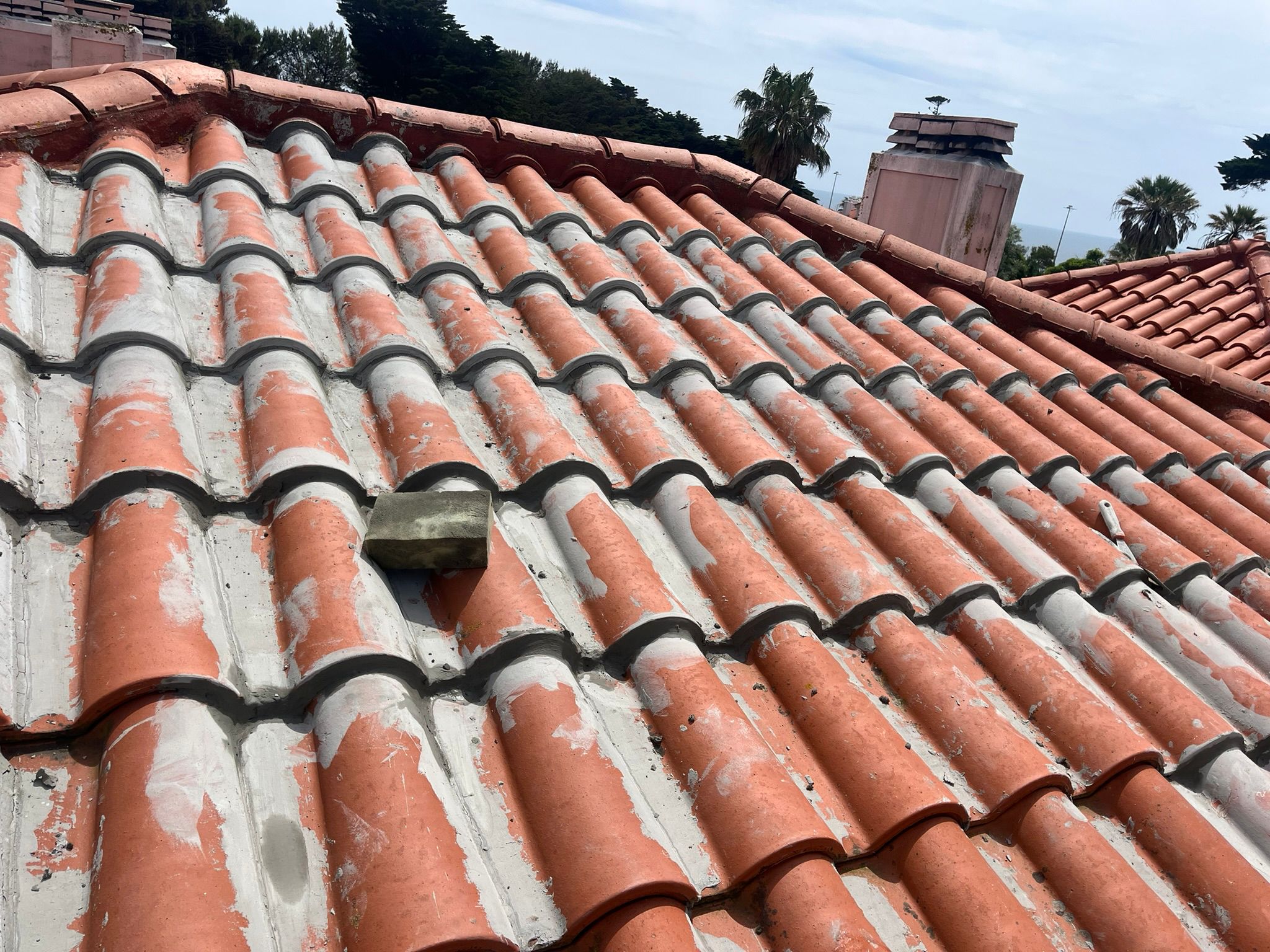 WhatsApp Image 2024-10-15 at 17.07.50