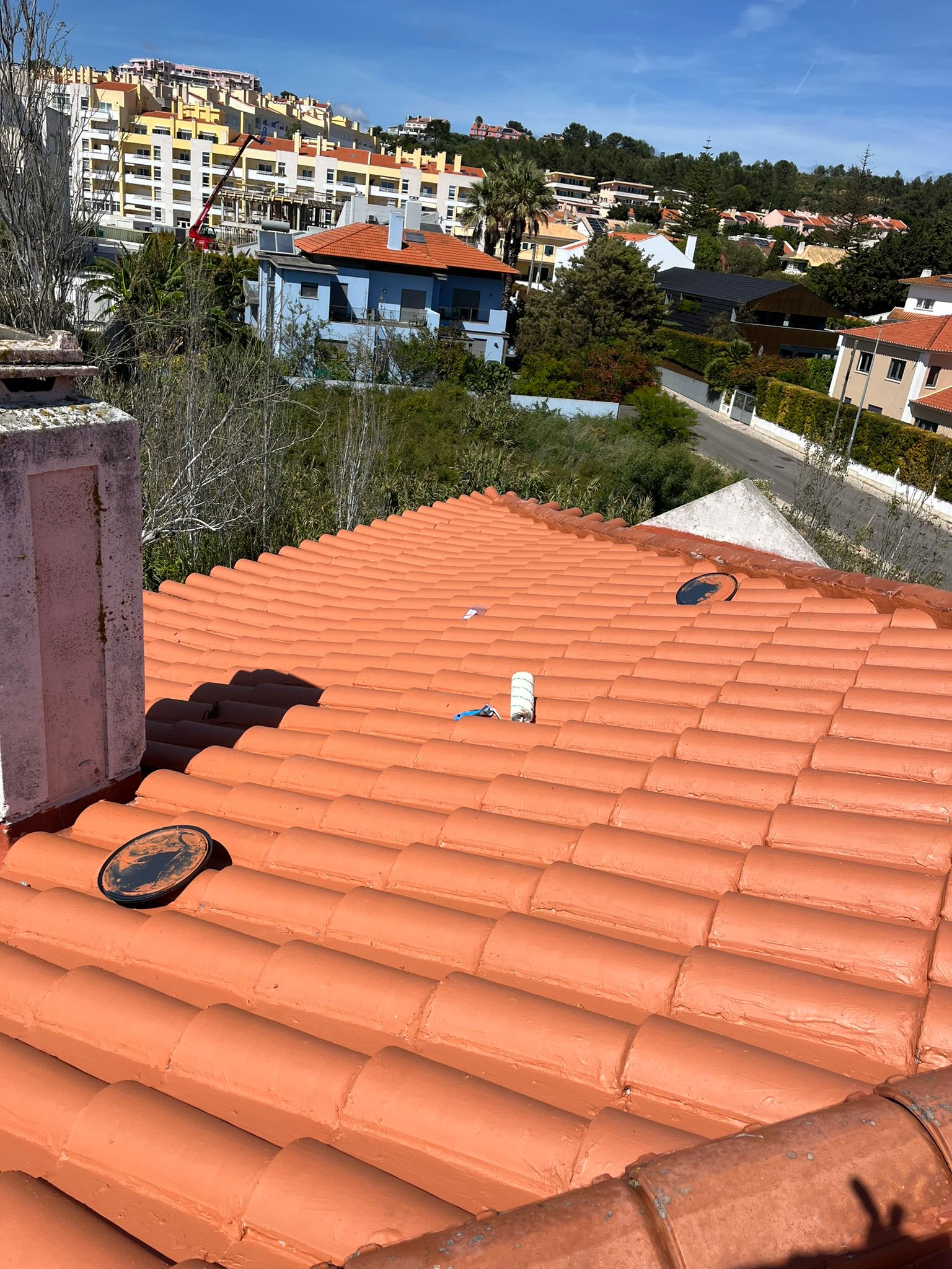 WhatsApp Image 2024-10-15 at 17.07.51