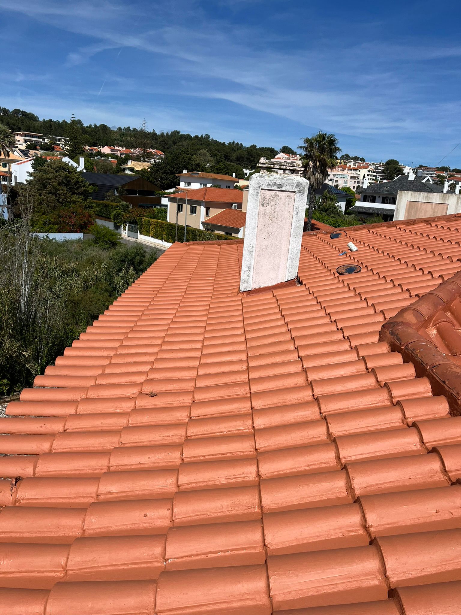 WhatsApp Image 2024-10-15 at 17.07.52