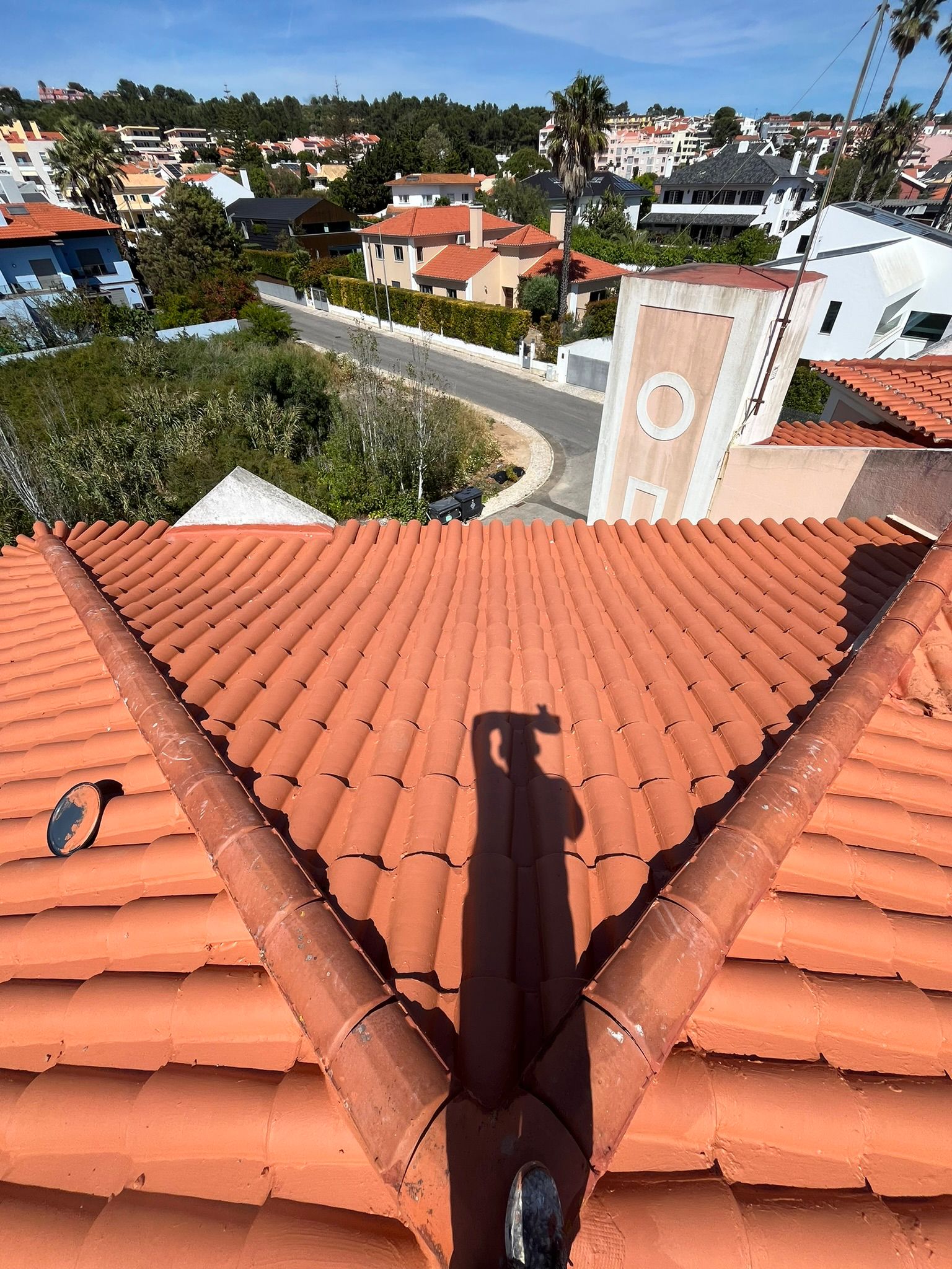 WhatsApp Image 2024-10-15 at 17.07.55 (1)