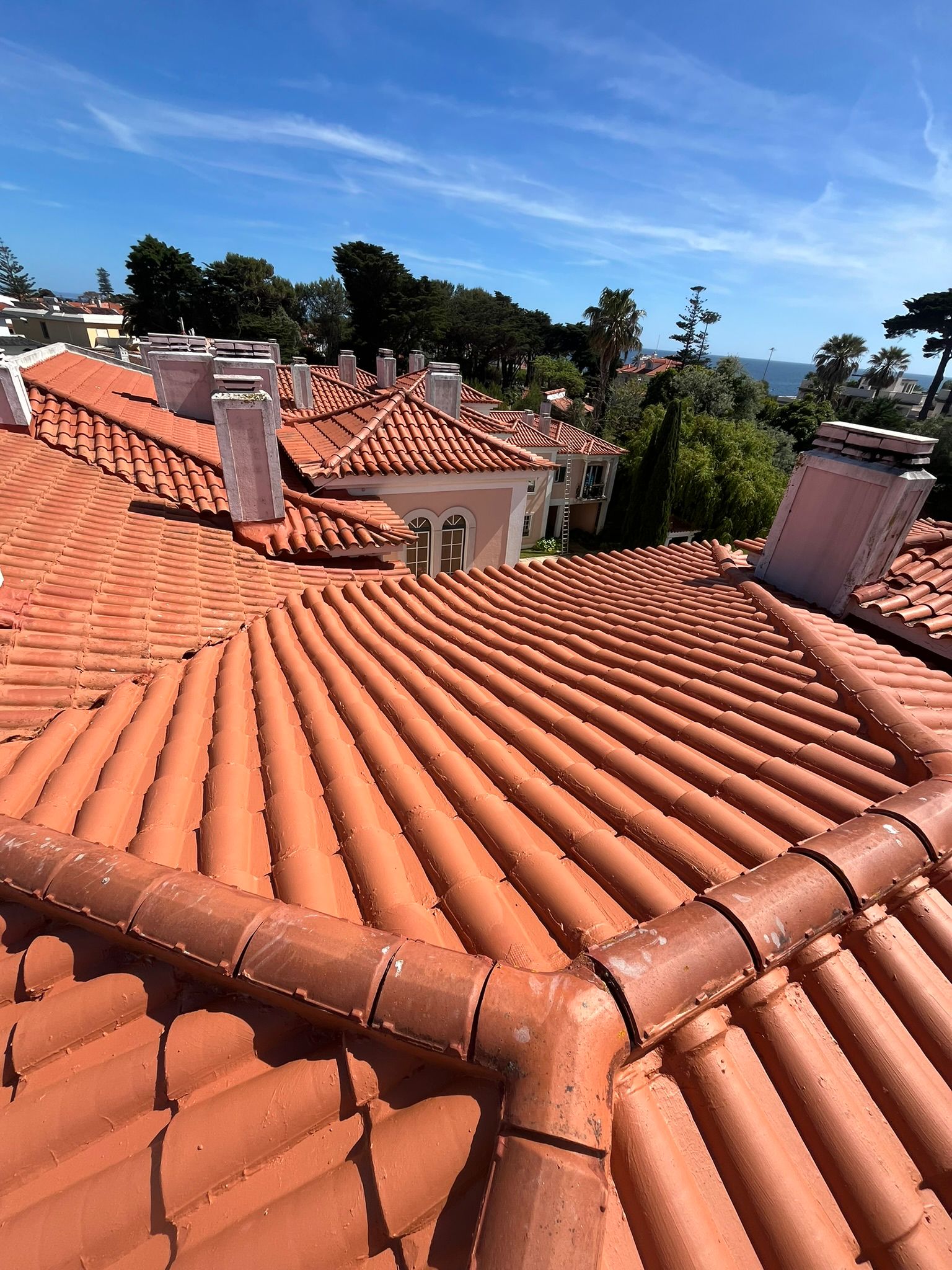 WhatsApp Image 2024-10-15 at 17.07.55 (4)