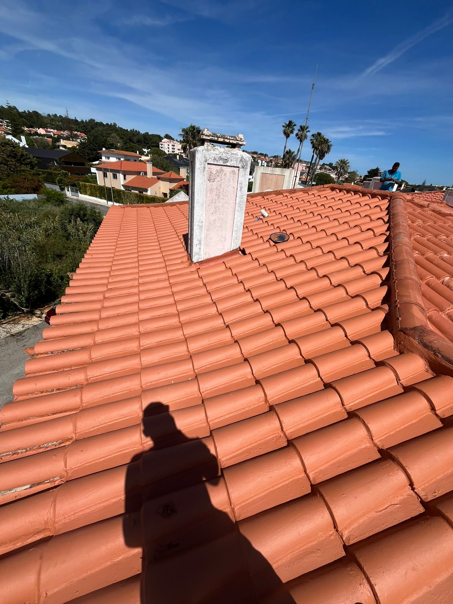 WhatsApp Image 2024-10-15 at 17.07.55