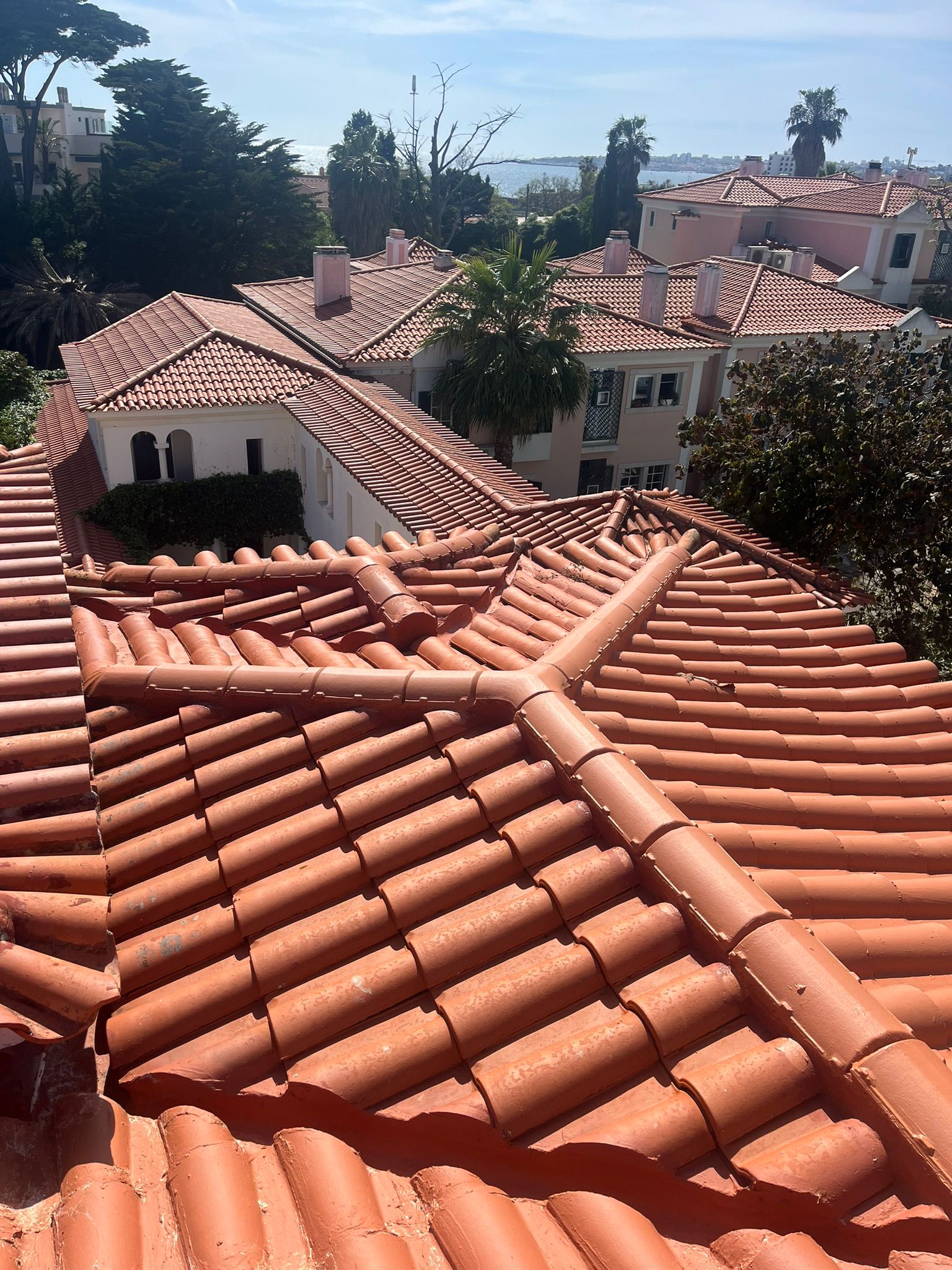 WhatsApp Image 2024-10-15 at 17.07.56