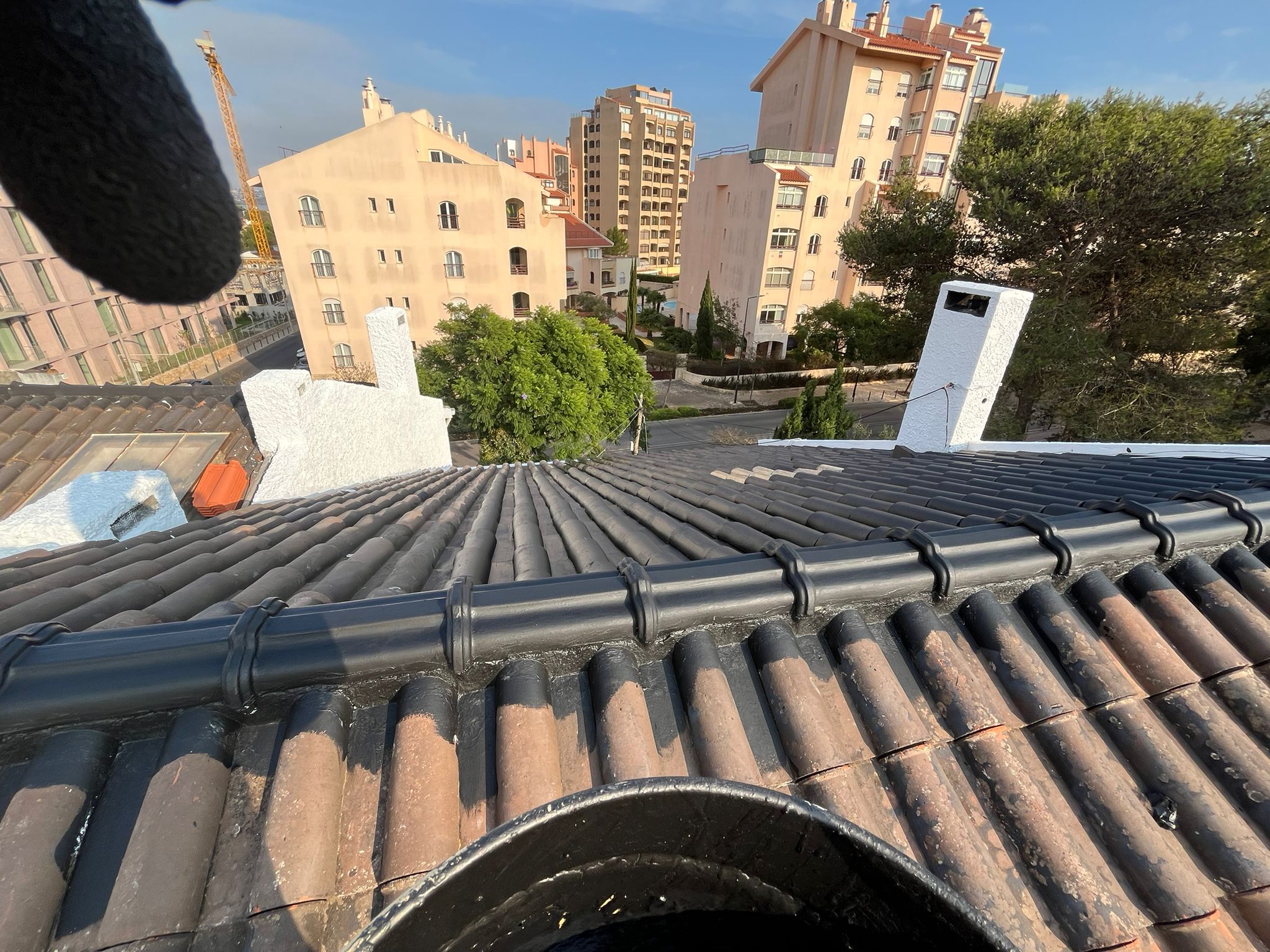 WhatsApp Image 2024-10-15 at 17.38.12 (1)