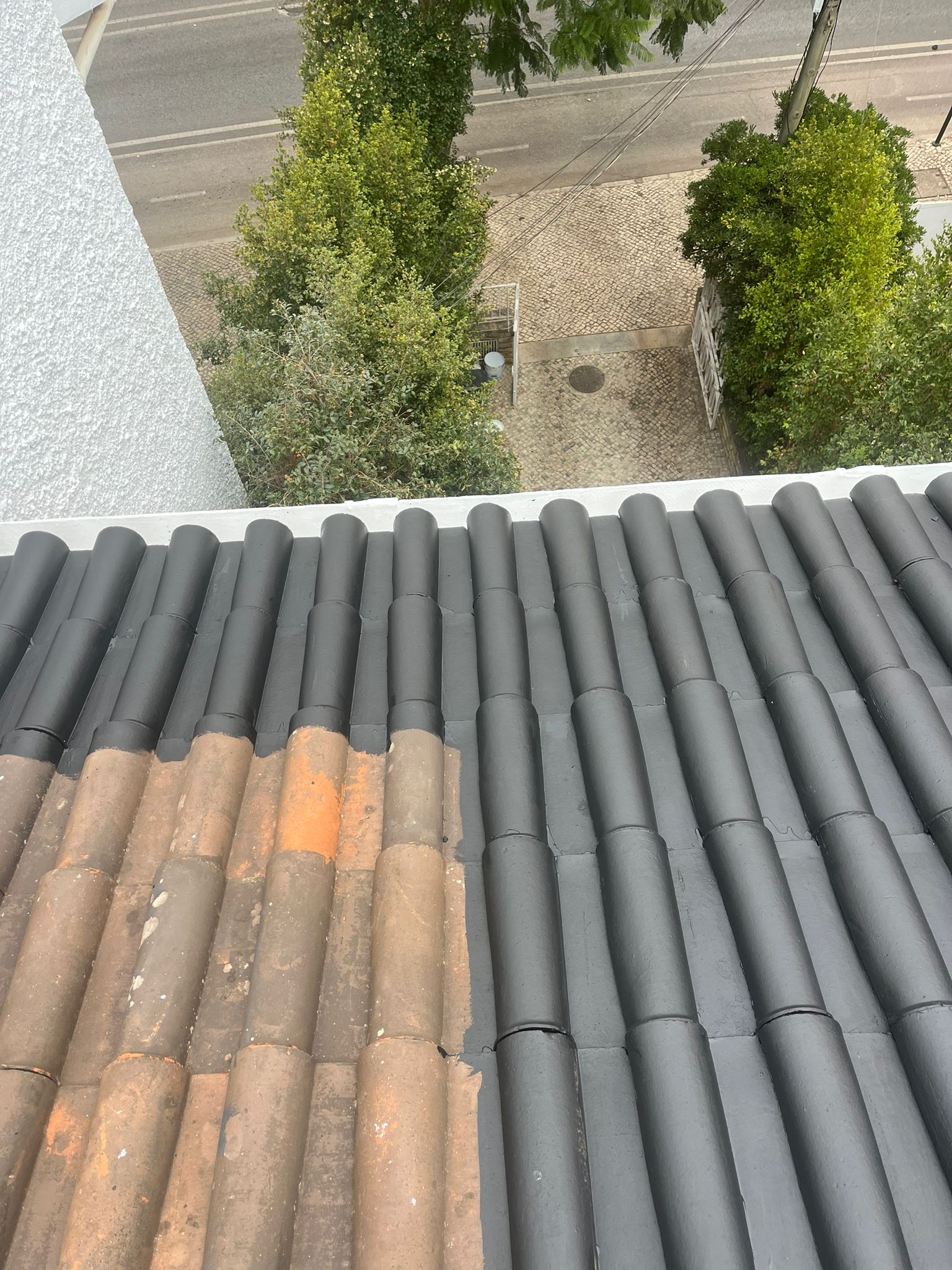 WhatsApp Image 2024-10-15 at 17.38.12