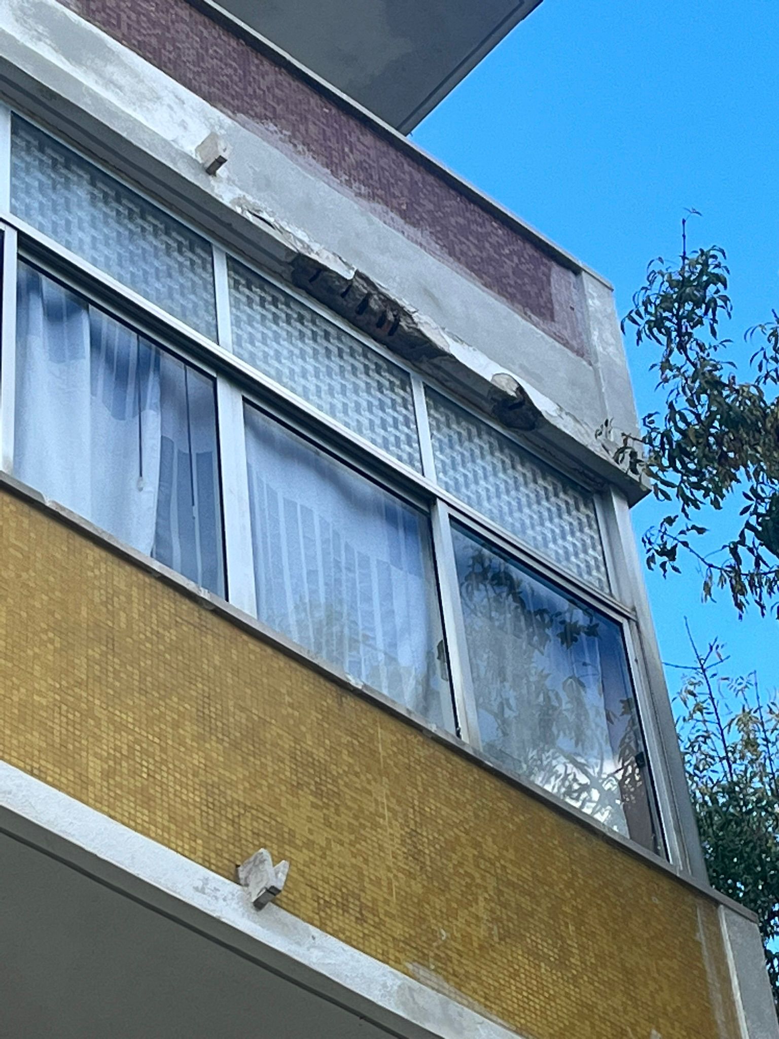 WhatsApp Image 2024-10-17 at 11.31.53 (2)