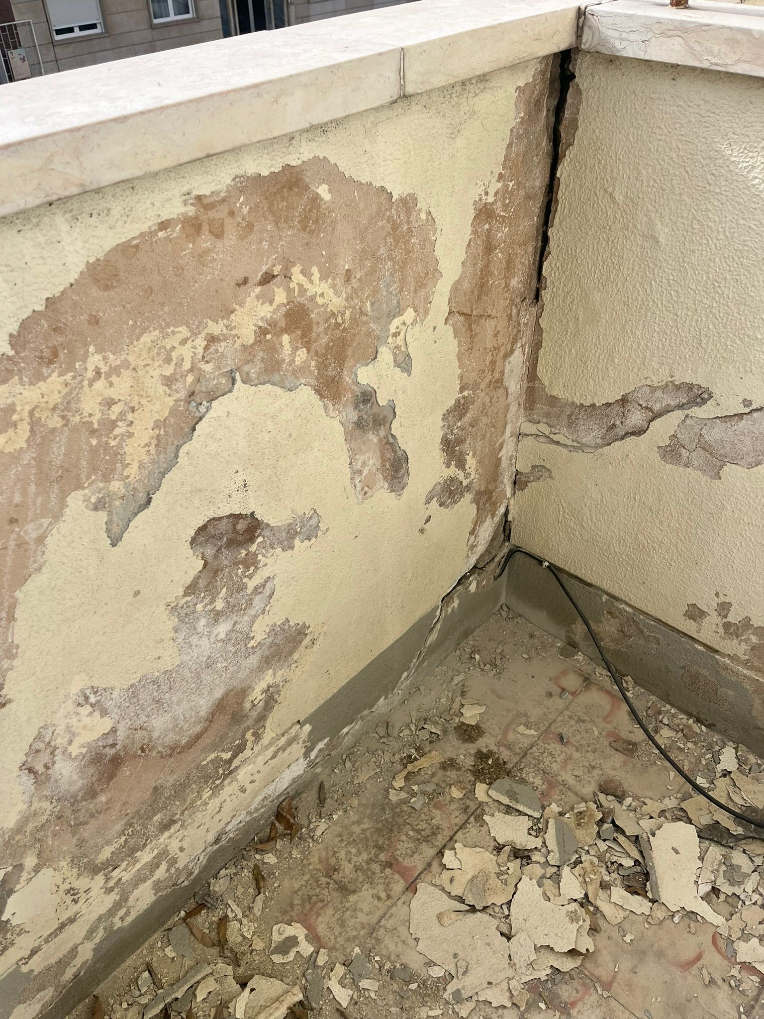 WhatsApp Image 2024-10-17 at 11.31.54