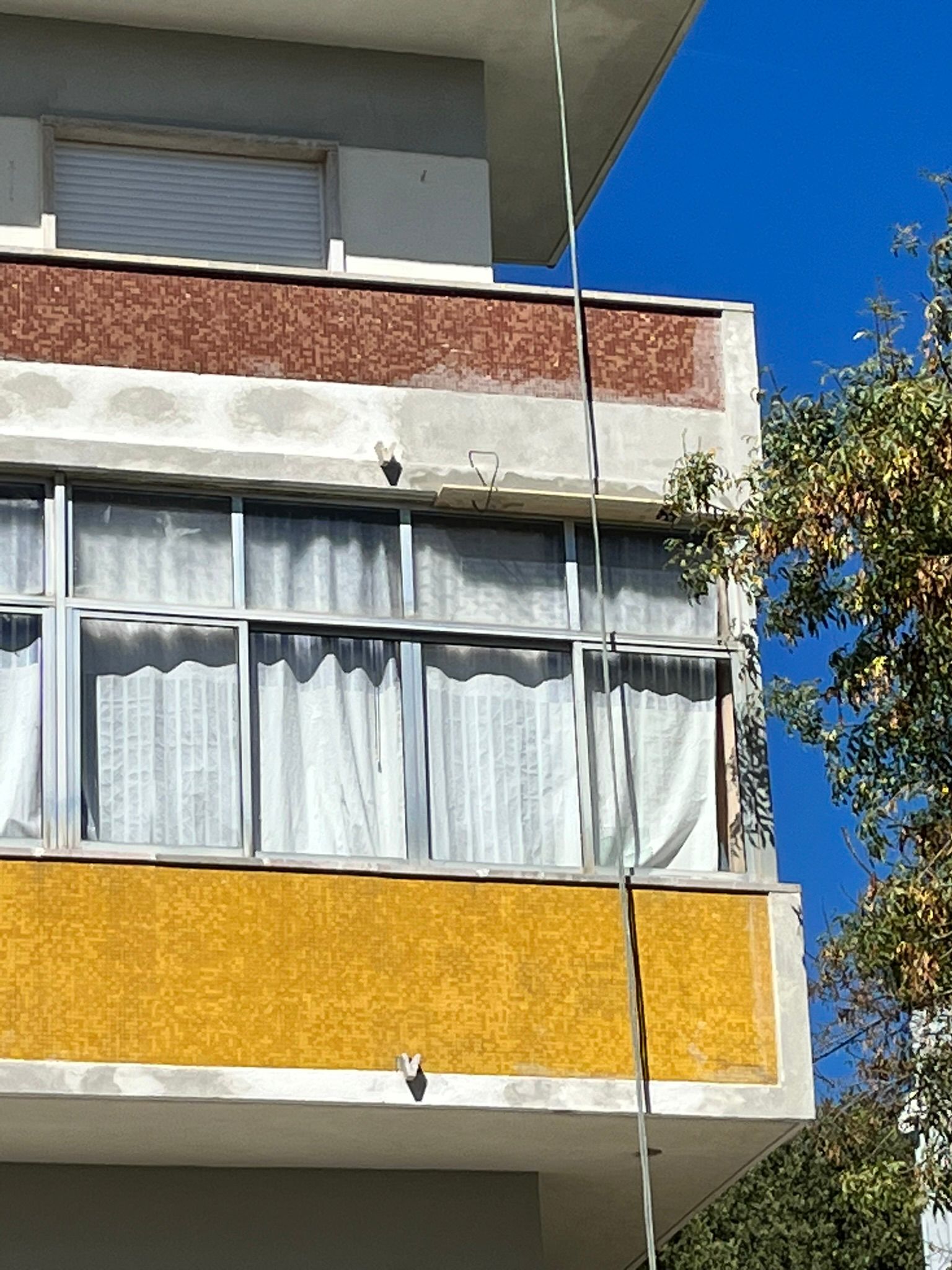 WhatsApp Image 2024-10-17 at 11.31.55