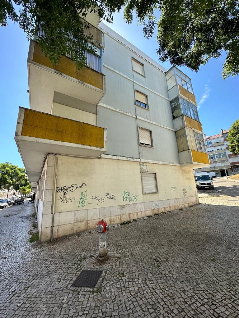 WhatsApp Image 2024-10-17 at 11.31.56